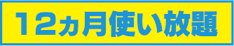 12ヶ月使い放題