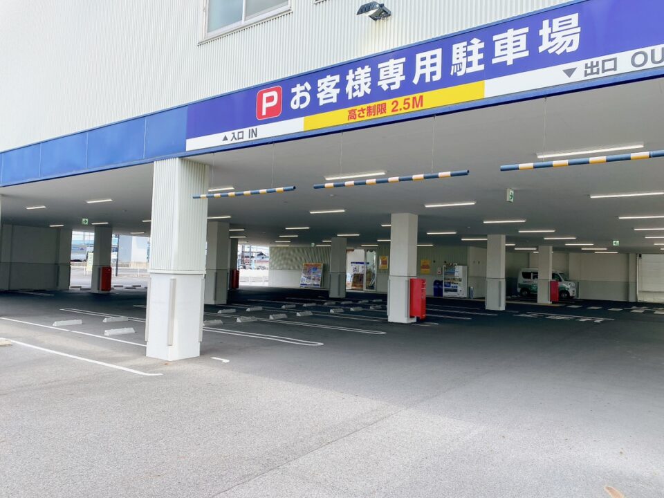 画像7
